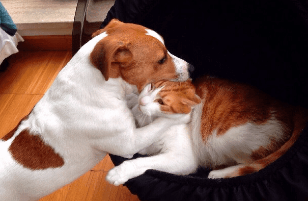 Screen Shot 2021-03-09 at 8.32.43 AM